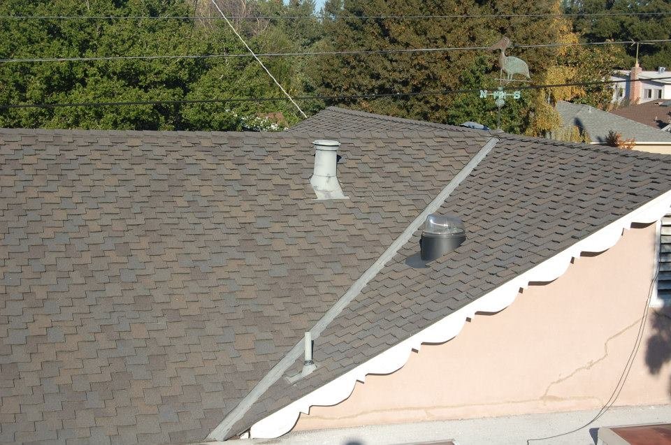 Slide of Limey Roofing