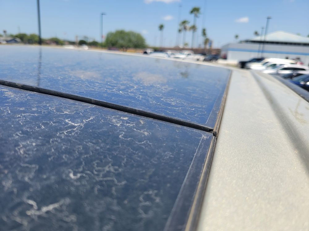 AUTONATION CHEVROLET NORTH CORPUS CHRISTI Updated August 2024 11