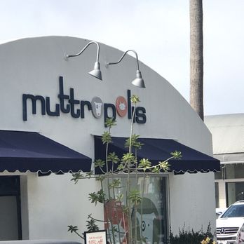 Muttropolis - Pet Stores Near Me - Solana Beach, California