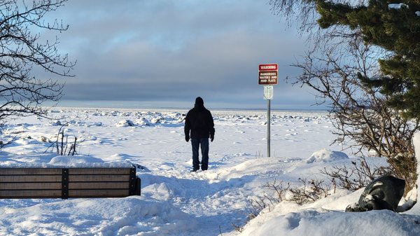 Tony Knowles Coastal Trail by null