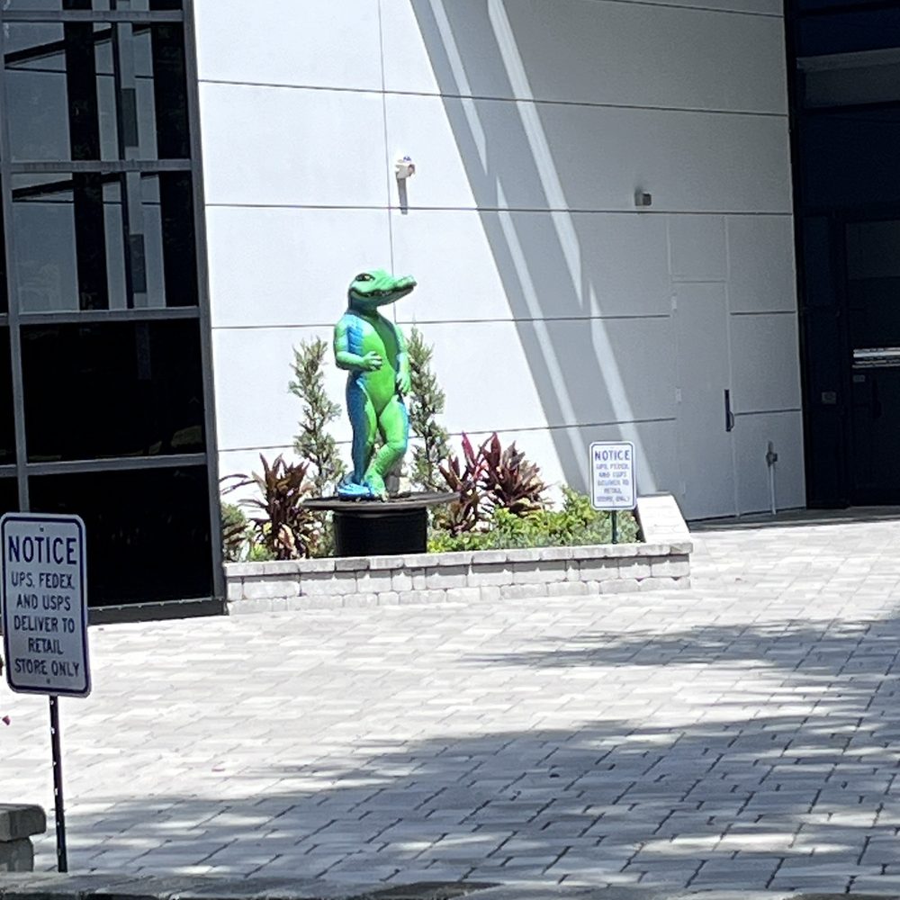 Cox Store - Gator statue, it's all about the UF Gators here. - Television Service Providers Near Me - Gainesville, Florida