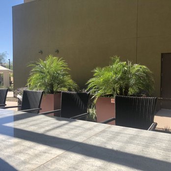 TŪK Urban Kafé - Cafes Near Me - Phoenix, Arizona TŪK Urban Kafé - Cafes Near Me - Phoenix, Arizona