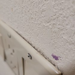 SureStay Hotel by Best Western Williams - You can see how black it is behind the switch plate! This is the bathroom light!