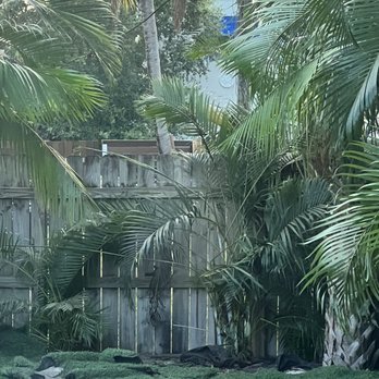 EBM Property Maintenance - After - Tree Services Near Me - Fort Lauderdale, Florida EBM Property Maintenance - After - Tree Services Near Me - Fort Lauderdale, Florida