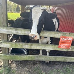 Tuscaloosa Barnyard
