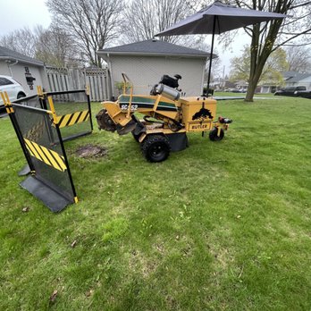 Butler Tree Service - Tree Services Near Me Butler Tree Service - Tree Services Near Me