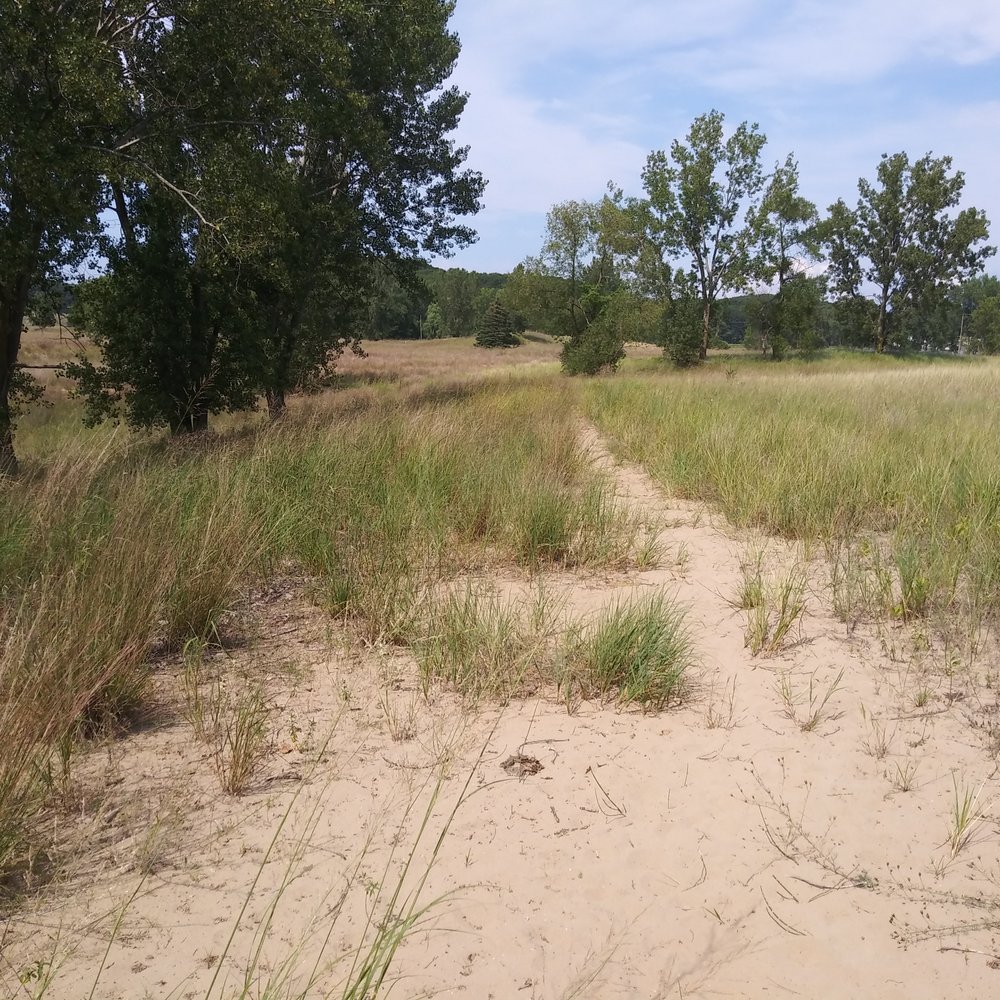 Ottawa Sands County Park - Some trails are rugged. - Parks Near Me - Spring Lake, Michigan