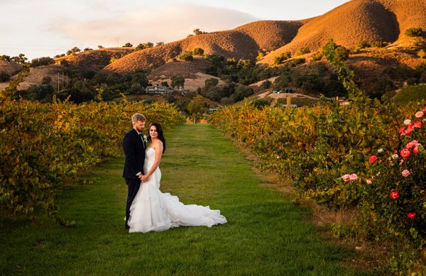 Host your Next Event at Kirigin Cellars! - Kirigin Cellars rents out its 7,000 square foot Club House building and its 2,000 square foot Barrel House Ball Room for a variety of private and corporate events.
Our facility is the perfect location for your next corporate off-site, company holiday party, wedding, dance or musical performance, bar or bat mitzvah,, anniversary party, or other personal or professional event.
Elegant & Versatile Venue for Every Occasion!
🍷 Now booking—secure your date before it’s gone! Host your Next Event at Kirigin Cellars! - Kirigin Cellars rents out its 7,000 square foot Club House building and its 2,000 square foot Barrel House Ball Room for a variety of private and corporate events.
Our facility is the perfect location for your next corporate off-site, company holiday party, wedding, dance or musical performance, bar or bat mitzvah,, anniversary party, or other personal or professional event.
Elegant & Versatile Venue for Every Occasion!
🍷 Now booking—secure your date before it’s gone!