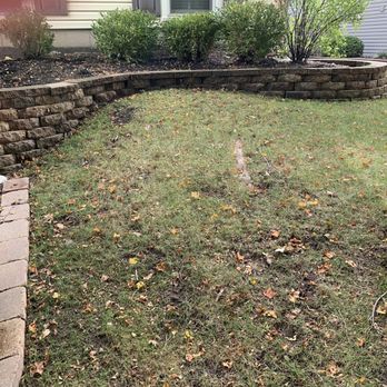 Rubino Landscapes - Landscaping Near Me