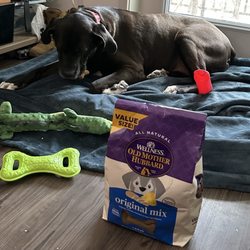 Pet Supermarket - Cane corso girl approved :)