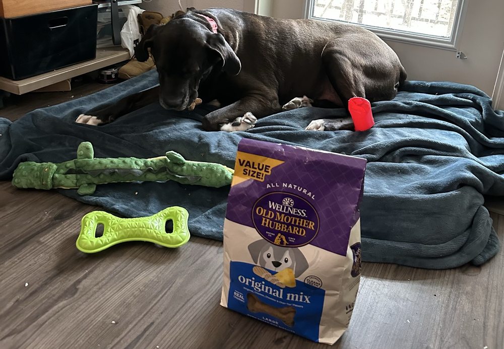 Pet Supermarket Image