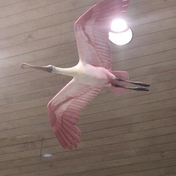 Broward County Sheriff and Rest Stop - Display of my favorite Everglades bird, the Roseate Spoonbill. - Rest Stops Near Me - Broward, Florida Broward County Sheriff and Rest Stop - Display of my favorite Everglades bird, the Roseate Spoonbill. - Rest Stops Near Me - Broward, Florida