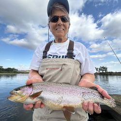 Bighorn Angler Fly Shop & Lodge