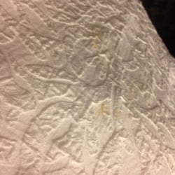 Hampton Inn Richmond - Stain on bedspread