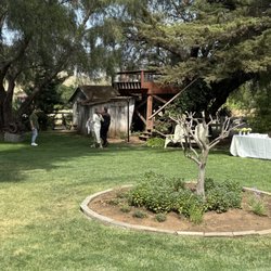 Yard area with tree structure that has a jacuzzi on it