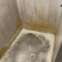 Shower Shower