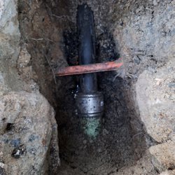 Hungry Goat Services