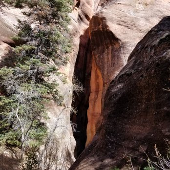 Kanarra Falls - Hiking Near Me