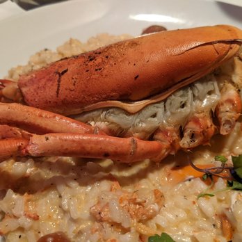 Terra e Mare - Lobster risotto - Steakhouses Near Me - Los Angeles, California Terra e Mare - Lobster risotto - Steakhouses Near Me - Los Angeles, California
