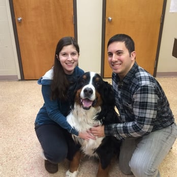 The Right Steps Dog Training - Pet Training Near Me - Abington, Pennsylvania The Right Steps Dog Training - Pet Training Near Me - Abington, Pennsylvania