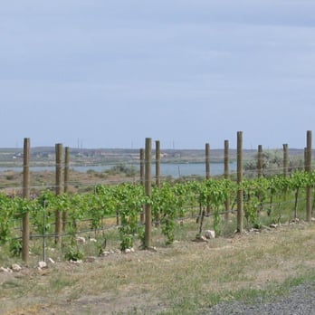Camas Cove Cellars - Blooms of Spring 2012. - Wineries Near Me - Moses Lake, Washington