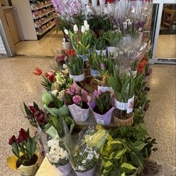 Publix