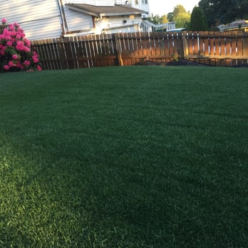 SeaTac Landscaping - Closer look at the premium NW turf that we use from the same farms that cover Safeco Field! - Masonry/Concrete Near Me - Tukwila, Washington SeaTac Landscaping - Closer look at the premium NW turf that we use from the same farms that cover Safeco Field! - Masonry/Concrete Near Me - Tukwila, Washington