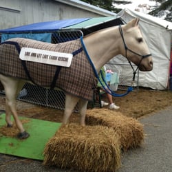 Hopkinton State Fair - Animal clothing is the best