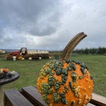 Bailey Family Farm - Pick Your Own Farms Near Me - Snohomish, Washington