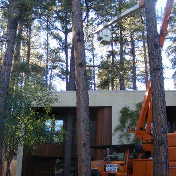 Frazier Tree and Shrub - We specialize in technically difficult removals. - Tree Services Near Me Frazier Tree and Shrub - We specialize in technically difficult removals. - Tree Services Near Me
