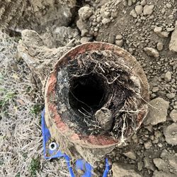 Ninja Plumber - When you rooter a pipe, it's never completely clear.