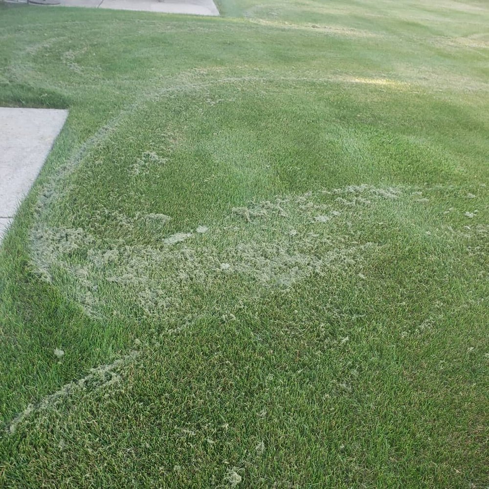 Nogas Landscaping - Snow Removal Near Me - New Lenox, Illinois Nogas Landscaping - Snow Removal Near Me - New Lenox, Illinois