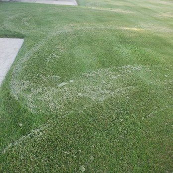 Nogas Landscaping - Snow Removal Near Me - New Lenox, Illinois