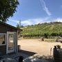 Photo of Salt Mine Wine