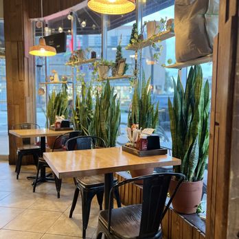 Cachito Coffee & Bakery - Cozy & Toasty from the breeze! - Breakfast & Brunch Near Me - Miami Beach, Florida Cachito Coffee & Bakery - Cozy & Toasty from the breeze! - Breakfast & Brunch Near Me - Miami Beach, Florida