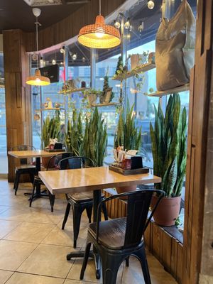 Cachito Coffee and Bakery | Lunch | Breakfast | Empanadas by null