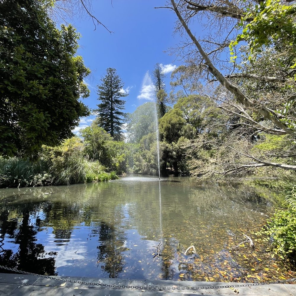 Adelaide Botanic Garden - Fountain is a gift from the United States of America - Botanical Gardens Near Me - Adelaide, SA