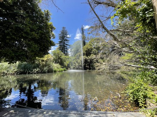 Adelaide Botanic Garden by null
