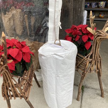 Green Thumb Nursery - Christmas rain deer planters, 3 sizes! - Nurseries & Gardening Near Me - Santa Clarita, California Green Thumb Nursery - Christmas rain deer planters, 3 sizes! - Nurseries & Gardening Near Me - Santa Clarita, California