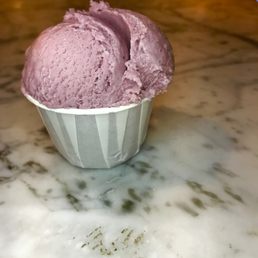 Black Raspberry Black Raspberry
