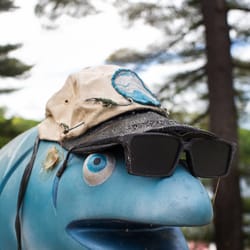 Camp Canadensis - Red fish blue fish