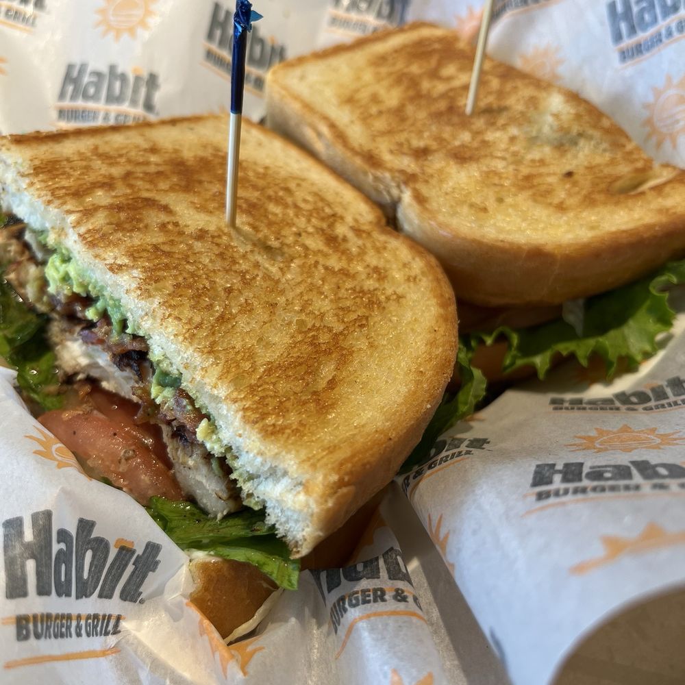 Habit Burger & Grill - Chicken Club - Burgers Near Me - Miami, Florida Habit Burger & Grill - Chicken Club - Burgers Near Me - Miami, Florida