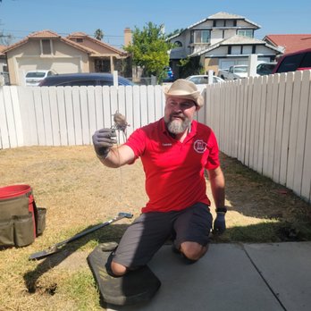 Gopher Stop - Pest Control Near Me Gopher Stop - Pest Control Near Me