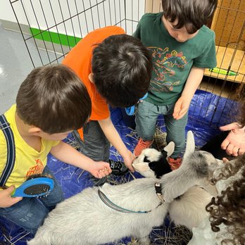 Greenburgh Hebrew Center - Child Care & Day Care Near Me - Dobbs Ferry, New York