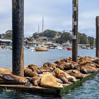 Estero Adventures - Boating Near Me - Morro Bay, California Estero Adventures - Boating Near Me - Morro Bay, California