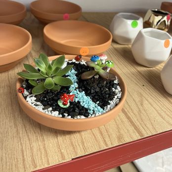 The Hot Spot Studio - Succulent garden - Paint-Your-Own Pottery Near Me - Victorville, California