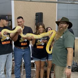 Reptile Family
