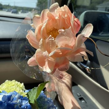 Martina's Flowers and Gifts - Florists Near Me - Augusta, Georgia Martina's Flowers and Gifts - Florists Near Me - Augusta, Georgia