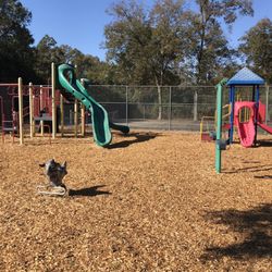Drusilla Lane Park - Playground