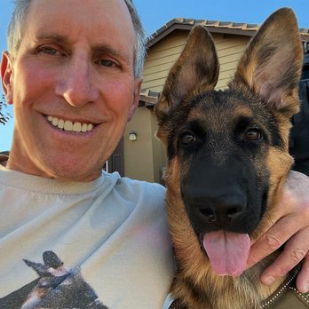 Oak Glen Kennels - M2 and Dad. Search & Rescue training starts soon. He is so loving and smart. - Pet Breeders Near Me Oak Glen Kennels - M2 and Dad. Search & Rescue training starts soon. He is so loving and smart. - Pet Breeders Near Me